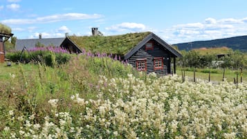 Holzhütte | Blick auf die Berge
