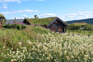 Classic Cabin | Mountain view