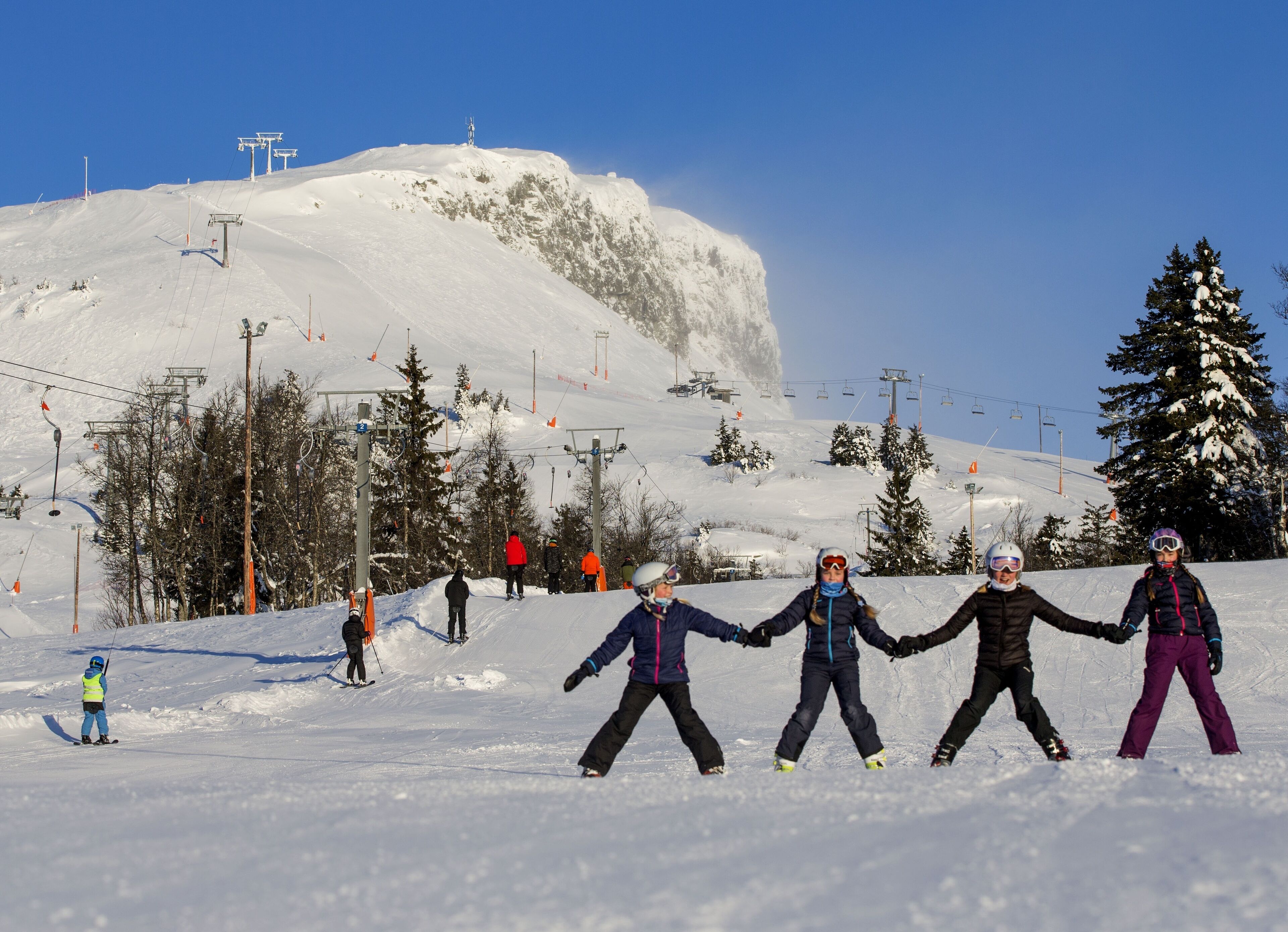 Ski