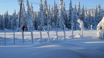 Family Cottage (Fjellandsbyen 124C) | View from room