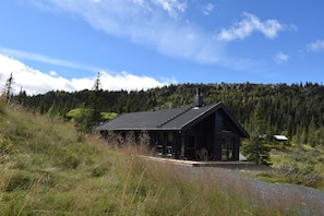 Eksteriør