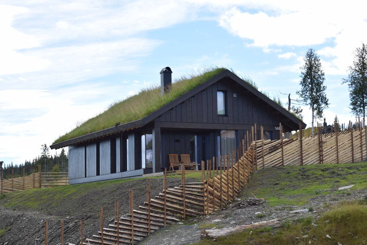 A modern house with a grass-covered roof, wooden staircase, and a view of the surrounding landscape.