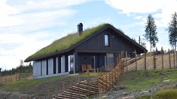 A modern house with a grass-covered roof, wooden staircase, and a view of the surrounding landscape.