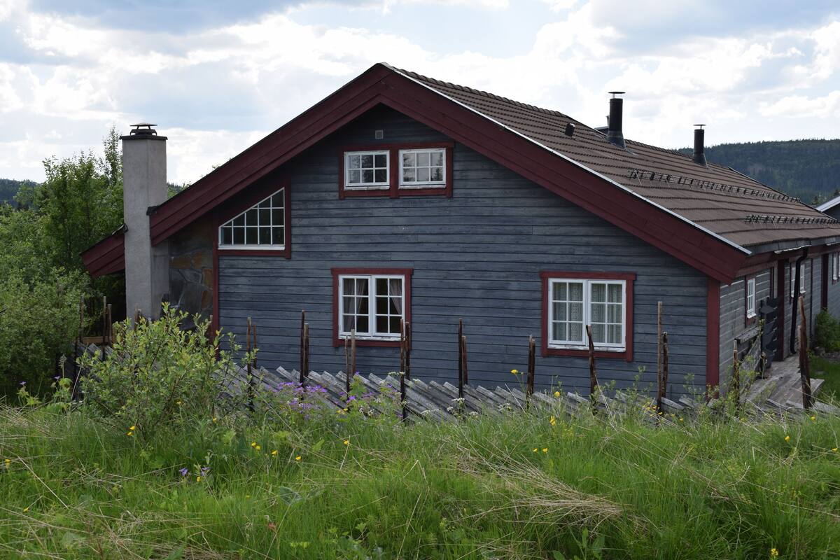 A two-story house with a gabled roof, a chimney, and a front porch.