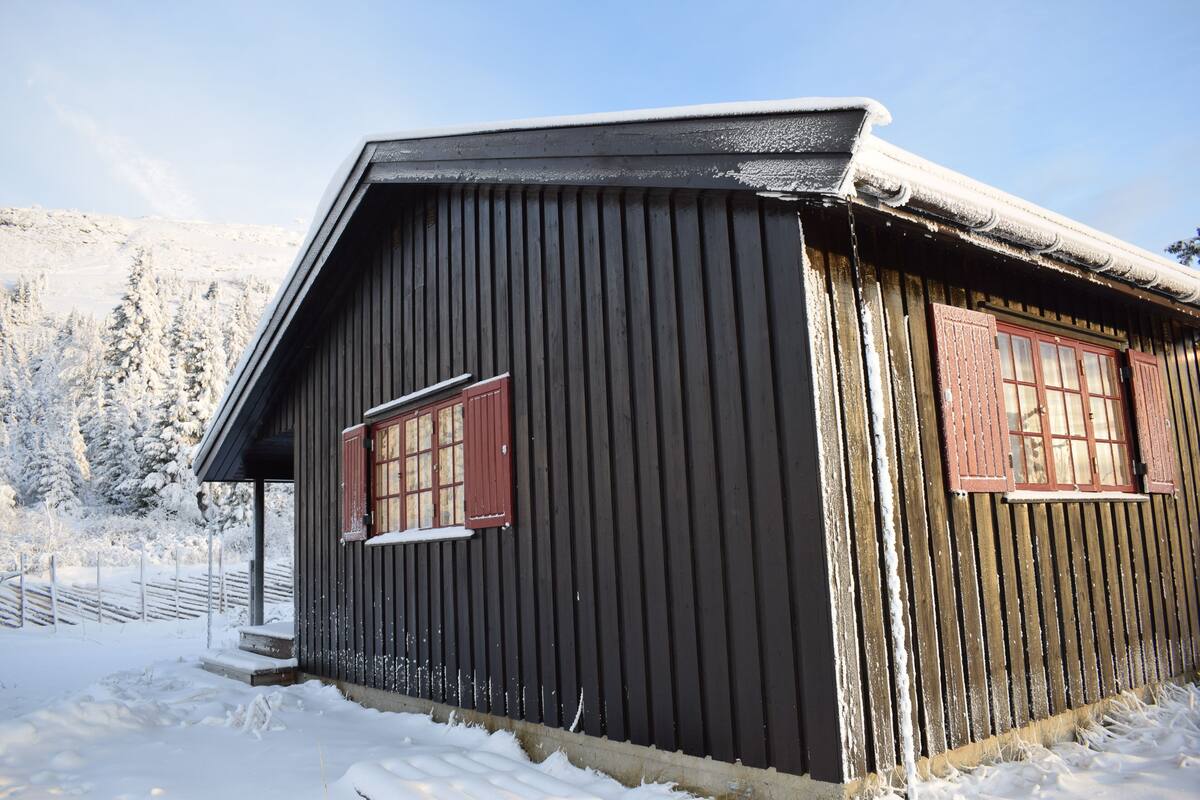 A wooden cabin with a sloped roof, a small porch, and a window with shutters.