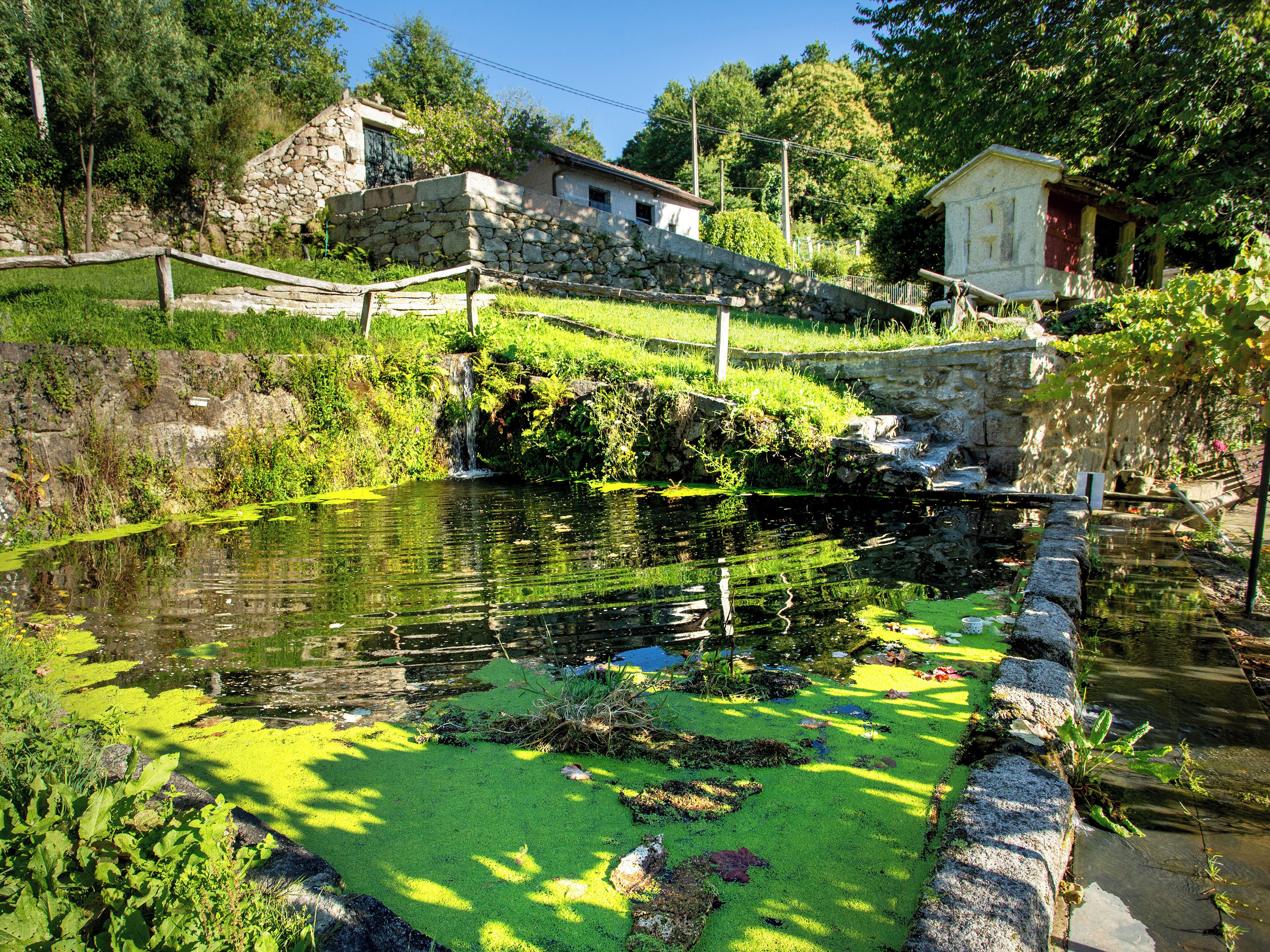 Jardines del alojamiento