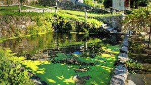 A serene pond with a stone wall and a wooden fence, surrounded by lush greenery and a stone building in the background. - FIFTH DO SOUTO (Barcia de Mera - COVELO)