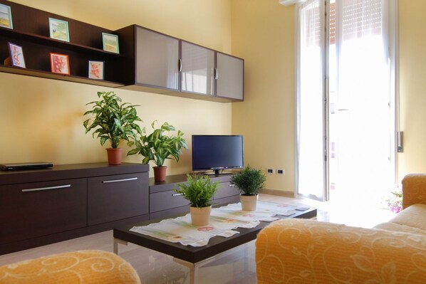 Flat-screen TV