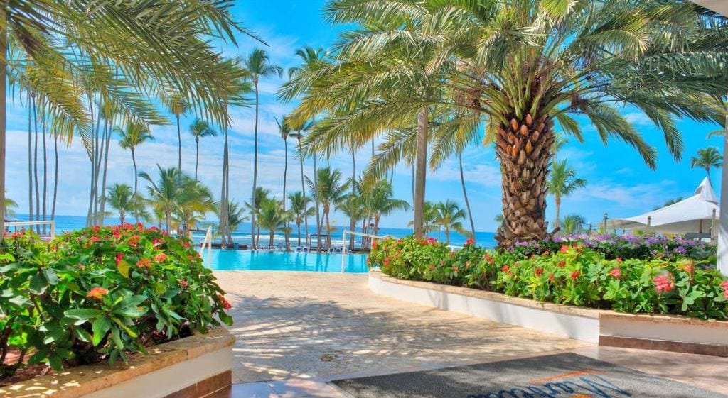 Zona de piscina en un resort con palmeras, cielo azul despejado y vista al océano.