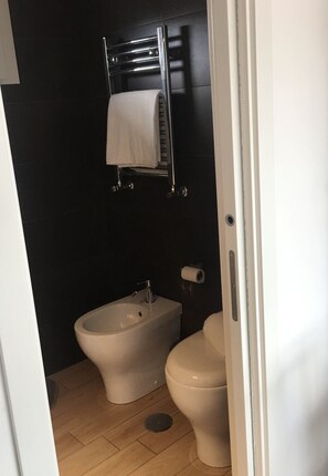 Regadera, secadora de cabello, bidet, toallas 