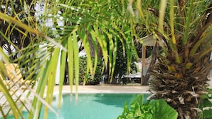 En klar och inbjudande pool omgiven av frodig grönska och en palm.
