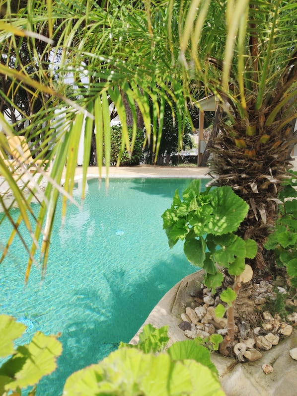 A clear swimming pool surrounded by lush greenery and a palm tree.