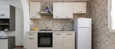 Full-size fridge, oven