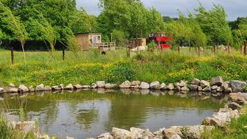 Surrounded by a natural stone border, a serene pond is nestled among lush greenery and a rustic cabin.