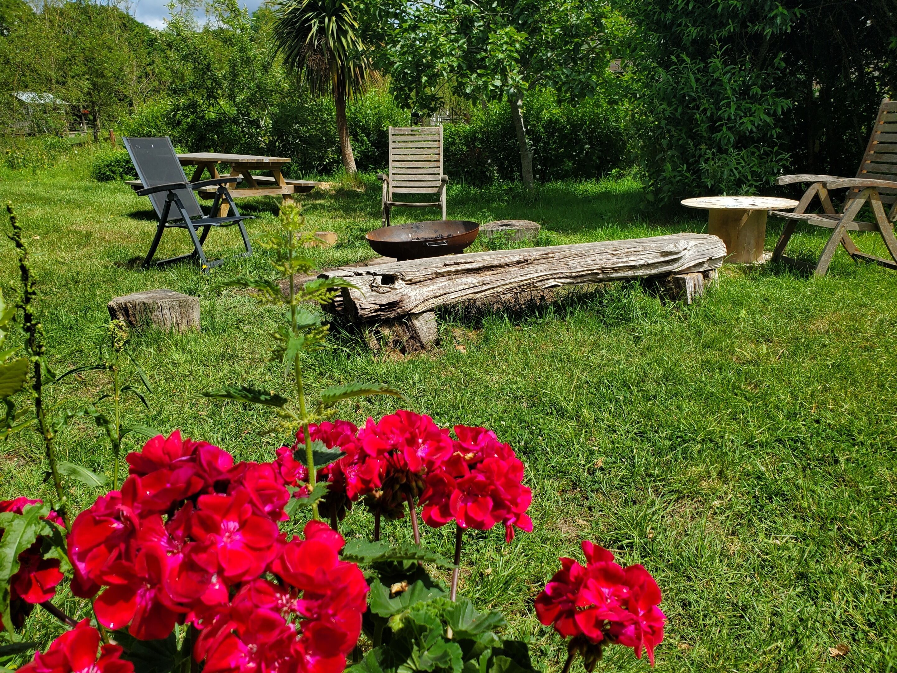 Un espace extérieur verdoyant avec des tables de pique-nique, des chaises et une bûche de bois.