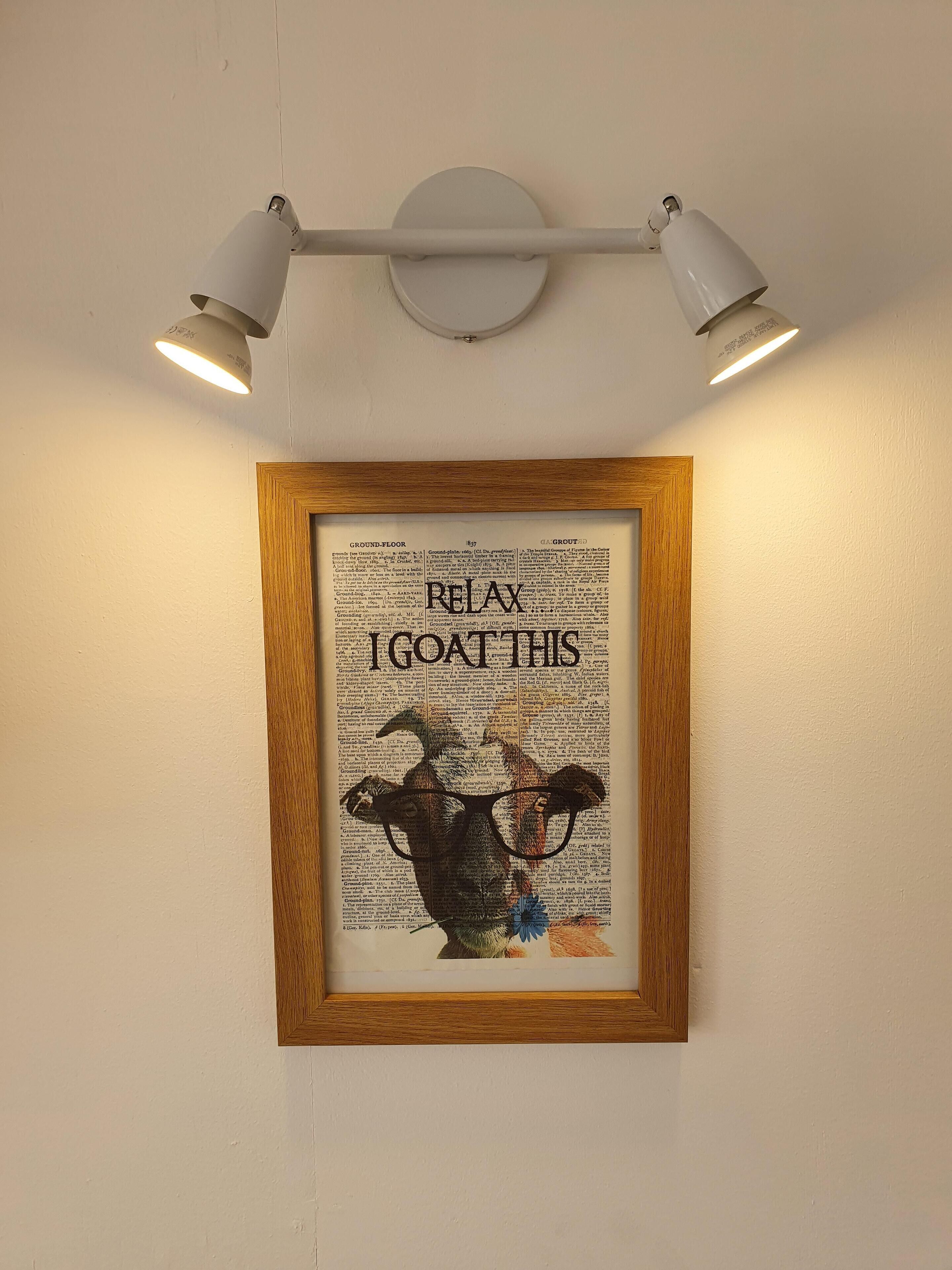 A framed artwork with the text "RELAX GOAT THIS" on a wall, illuminated by two ceiling lights.