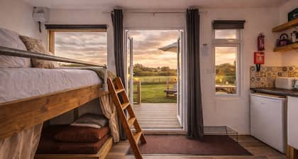 Dartmoor Reach Alpaca Farm