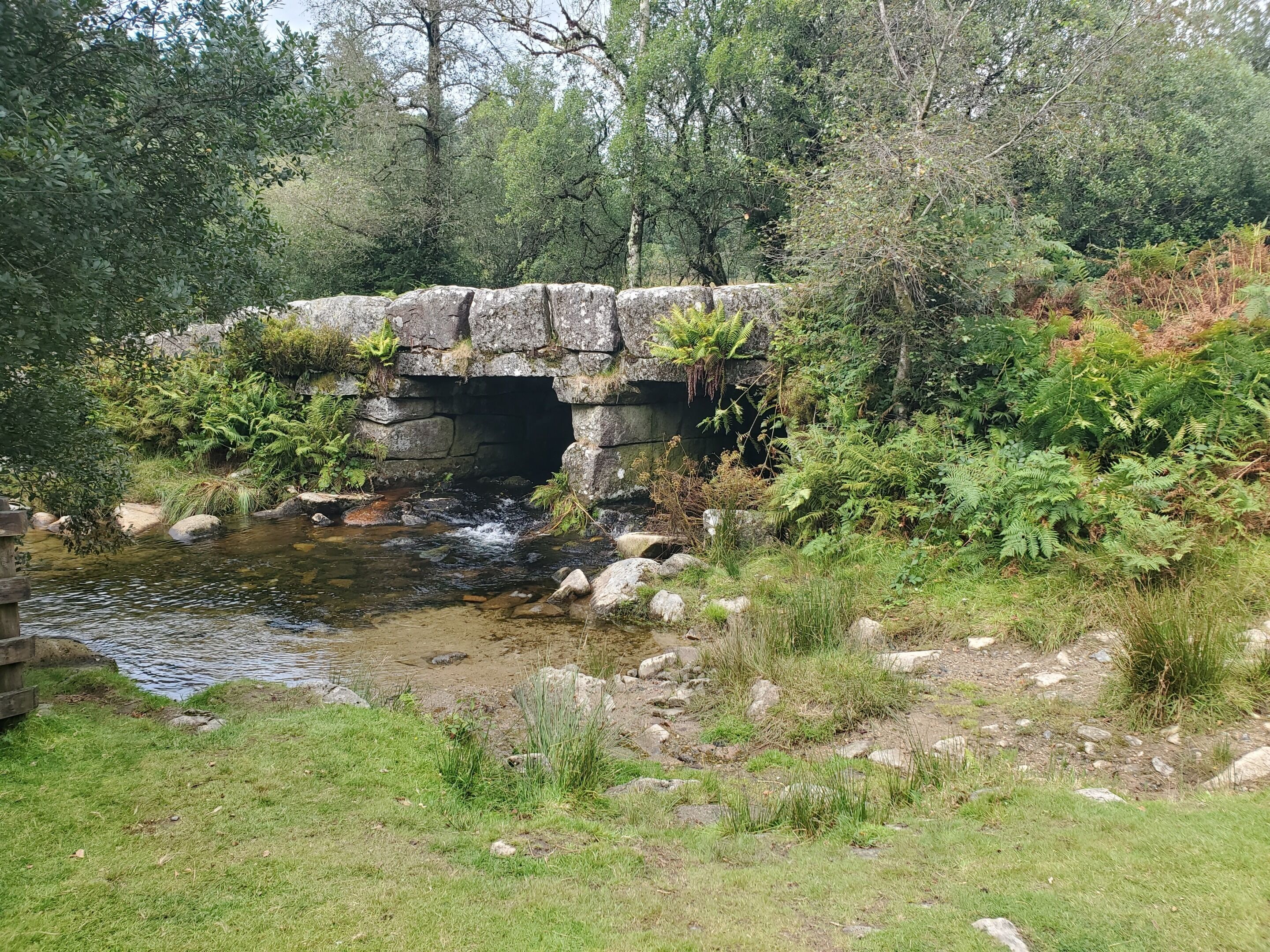 A stone bridge over a stream in a forested area.