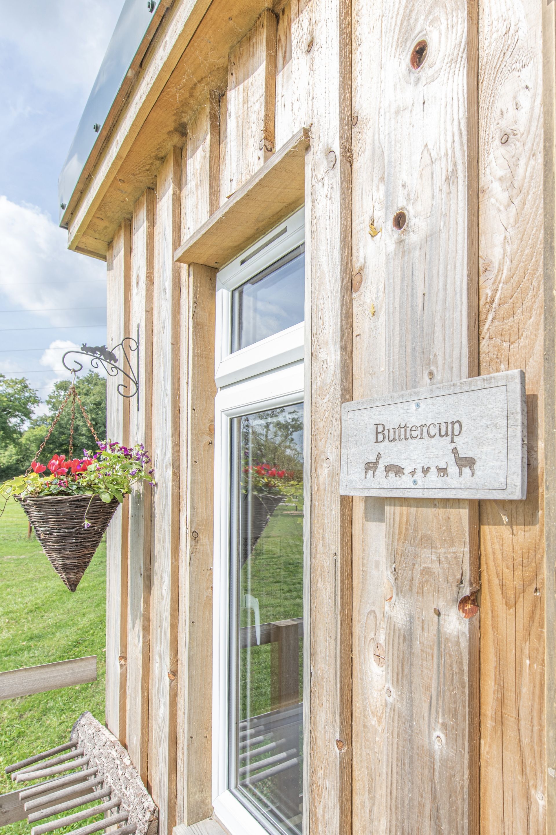 A wooden building with a sign reading "Buttercup" and a hanging flower basket.
