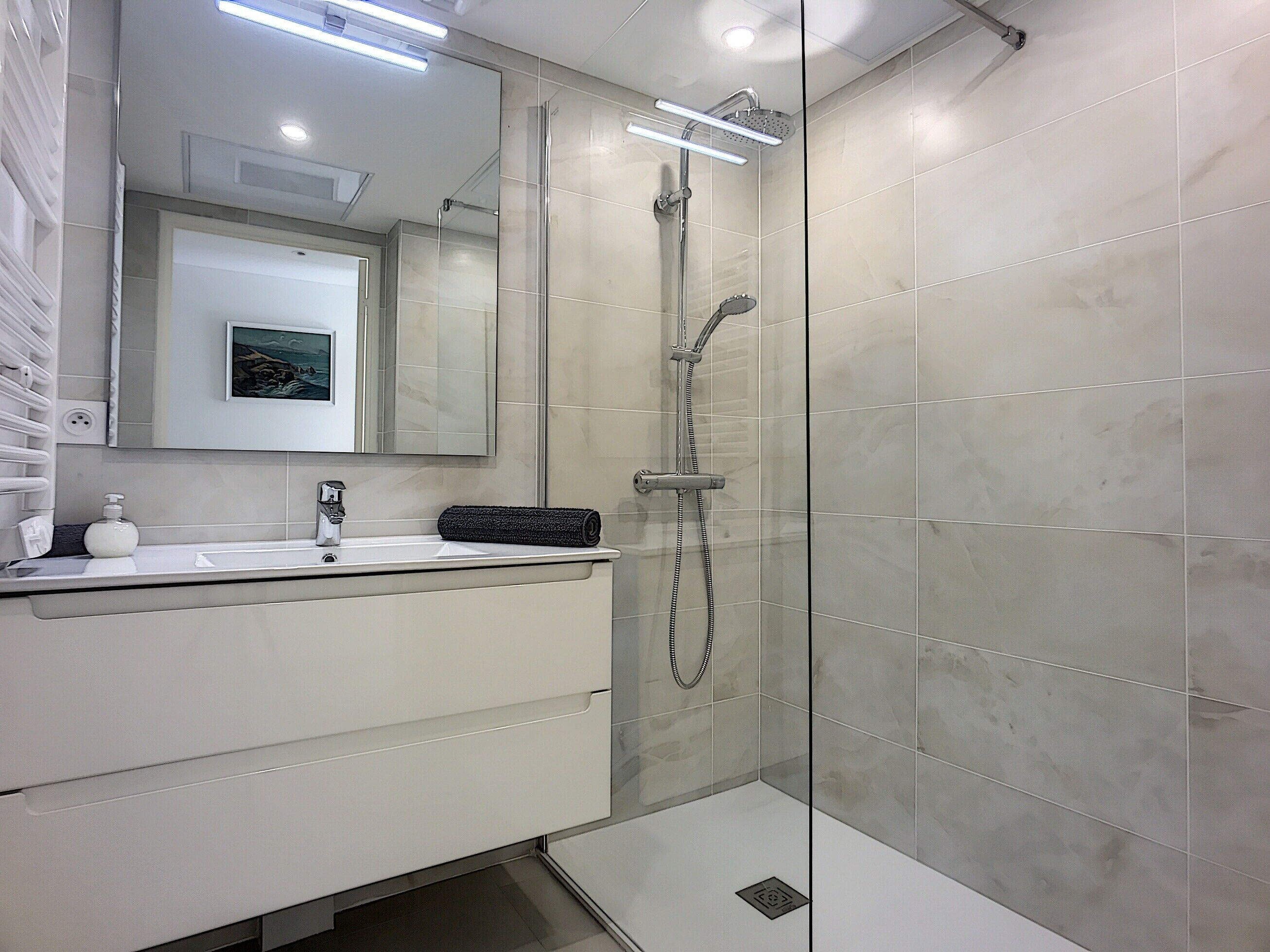 Shower, hair dryer, towels