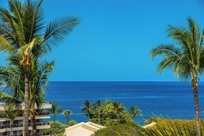 Un hotel frente a la playa con palmeras, cielo azul despejado y el océano al fondo.