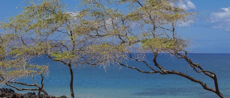 在海灘附近、沙灘巾