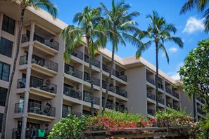 Un hotel de varios pisos con balcones, palmeras y macizos de flores.