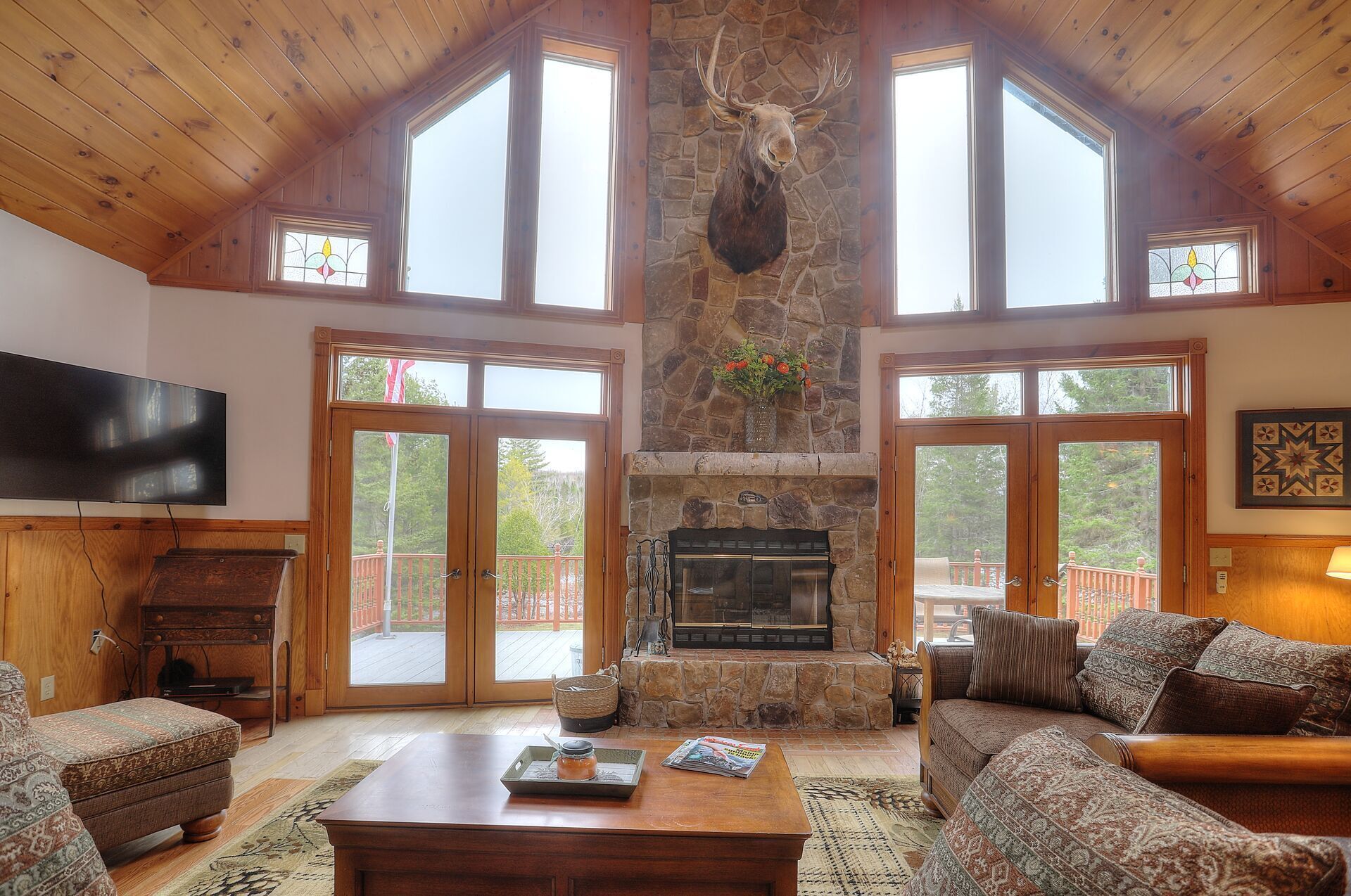 TV, fireplace, books