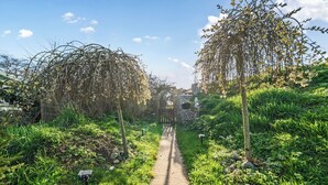 A garden pathway flanked by trees and shrubs, leading to a stone structure. - Luxury Pod-sleeps 2-hot Tub-pets-garden (Sheerness)