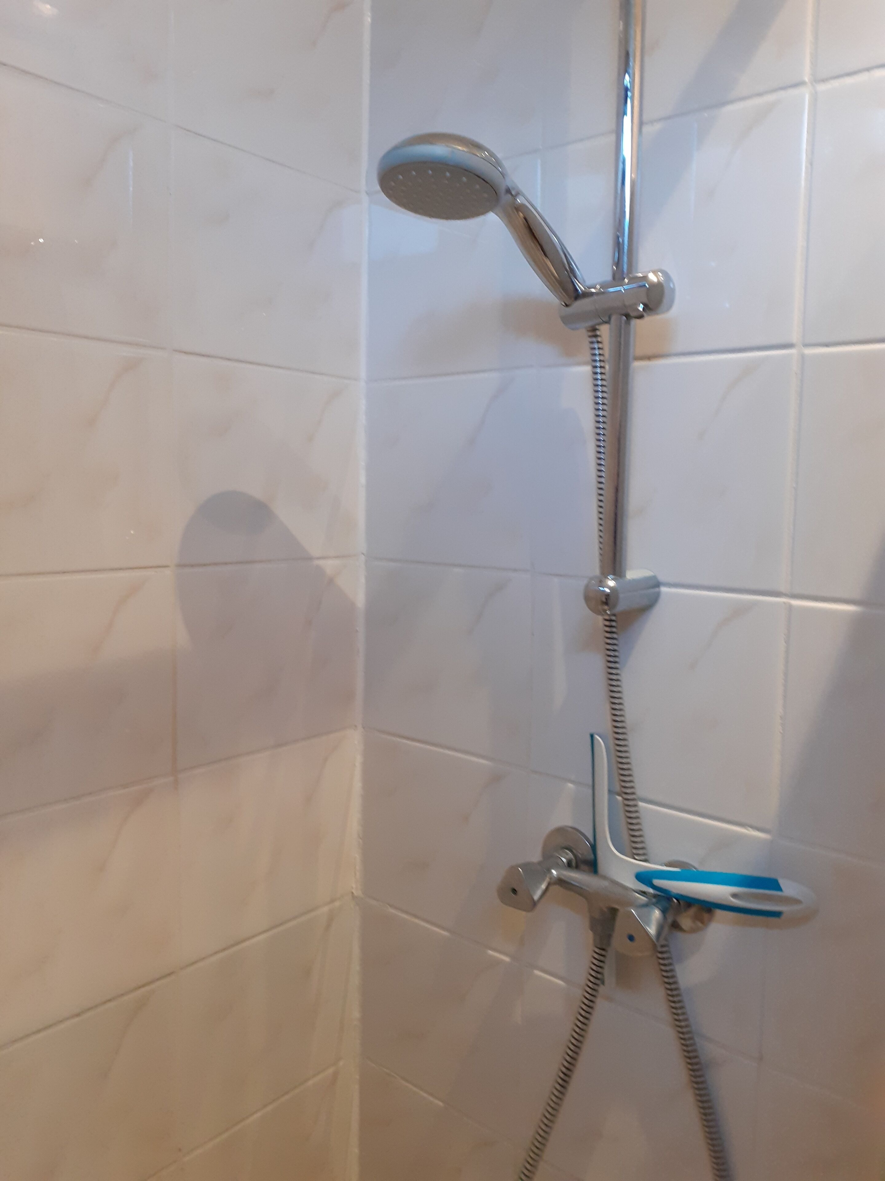 Ducha con cabezal de ducha de mano y rociador manual.
