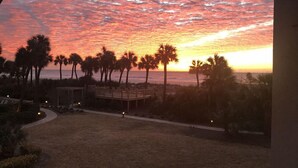 Vista de una playa con palmeras y un atardecer.
