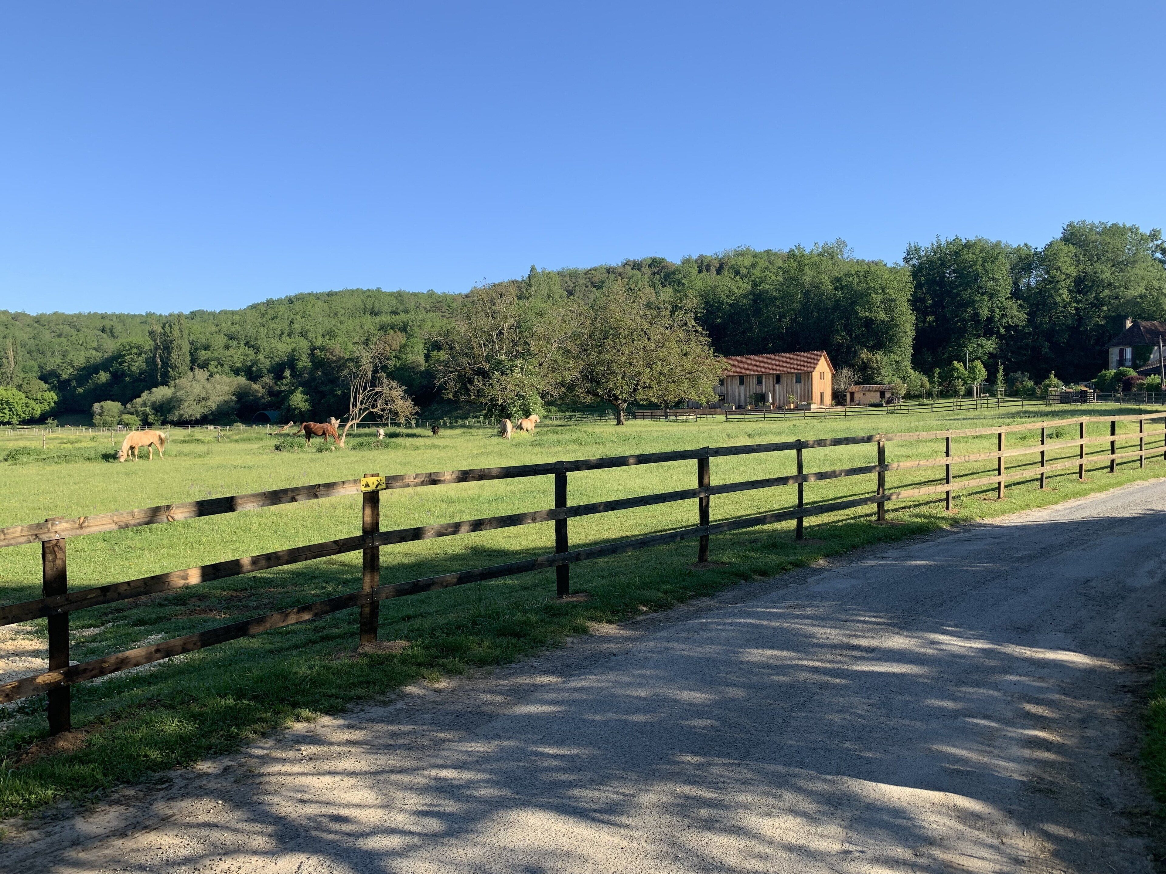 La vallée des chevaux