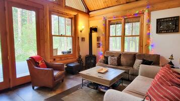 TV, fireplace, DVD player, books