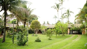 A lush garden with palm trees, a brick building, and a paved pathway.