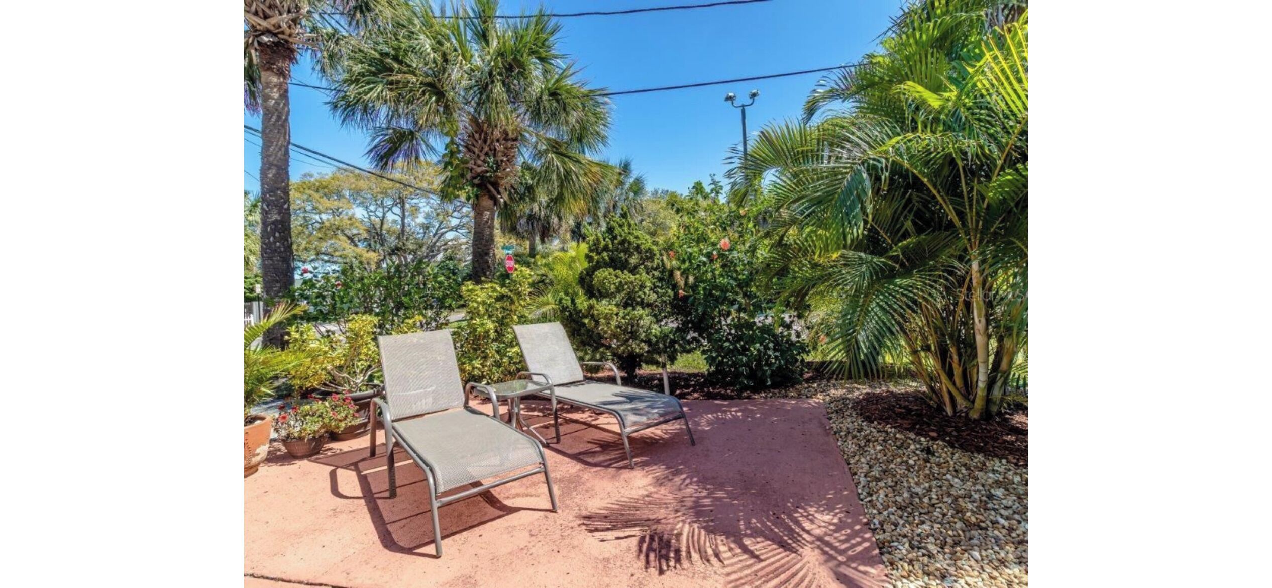 Two lounge chairs in a garden area with palm trees and various plants.