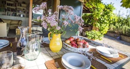 MY TUSCANY VILLA: Absolute privacy, between pine and olive trees