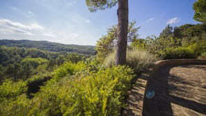 A stone pathway curving through a forested area with a view of a distant mountain range. - MY TUSCANY VILLA: Absolute privacy, between pine and olive trees (Palaia)