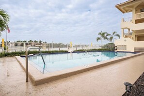 A swimming pool with a metal ladder, surrounded by a white fence and palm trees.