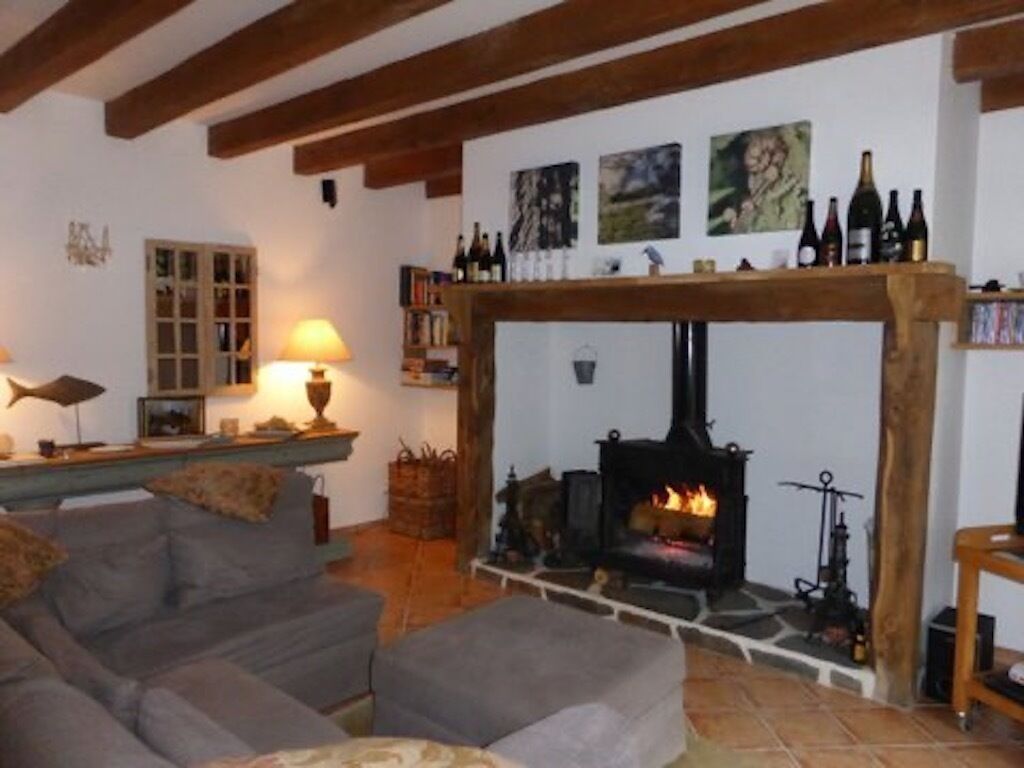 Televisie, een open haard, een dvd-speler en boeken