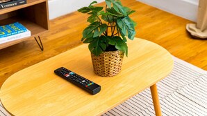 Una mesa de centro de madera con un control remoto y una planta en maceta.