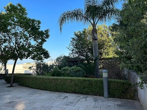 Ein gepflasterter Weg mit einer Hecke, einer Palme und einem Gebäude im Hintergrund.