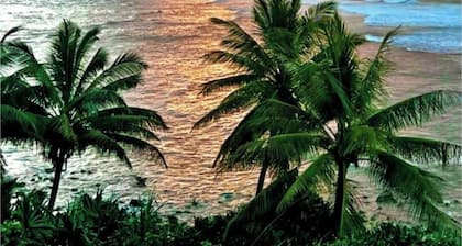 3BR Home: AC in all bedrooms, close to 1Hotel Hanalei Bay as well as Makai Golf