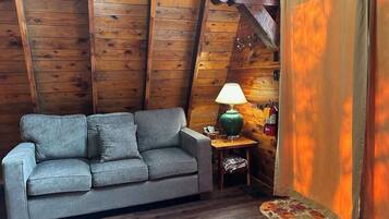 TV, video games, DVD player, books