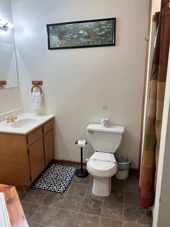 Regadera, secadora de cabello, toallas, jabón 