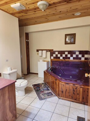 Dusche, Whirlpool, Haartrockner, Handtücher