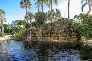 Een waterval die in een vijver stort, omringd door weelderige begroeiing en palmbomen.