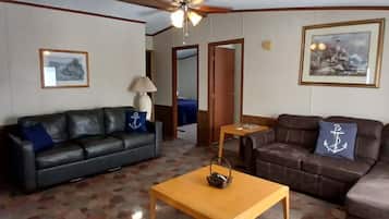 Smart TV, fireplace, video games, DVD player