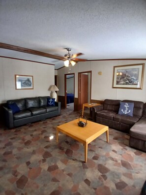 Smart TV, fireplace, video games, DVD player