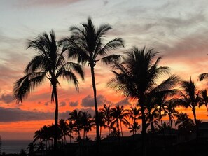 Ein Sonnenuntergang mit palmenartigen Silhouetten am Himmel.