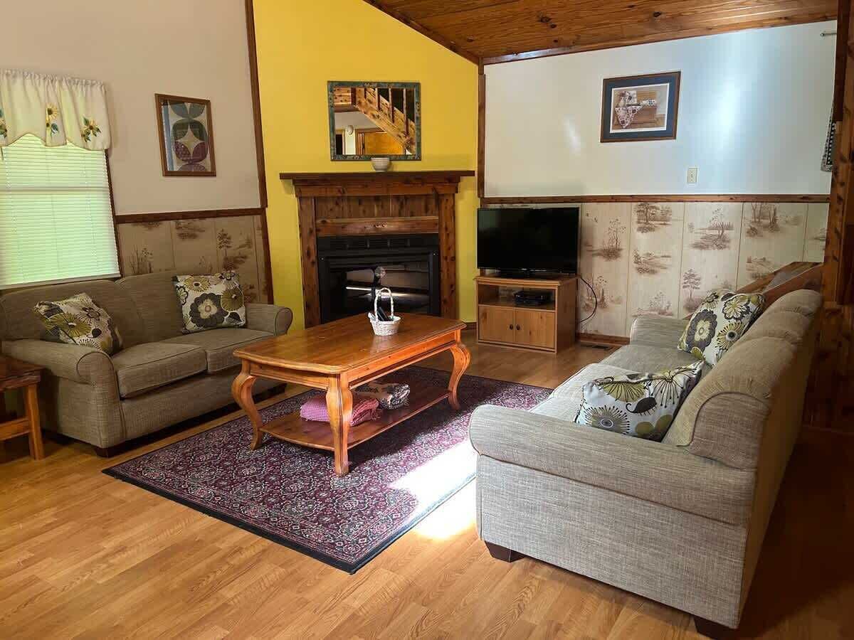 Smart TV, fireplace, video games, DVD player